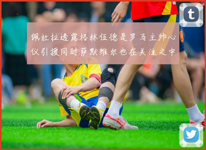 佩杜拉透露格林伍德是罗马主帅心仪引援同时萨默维尔也在关注之中
