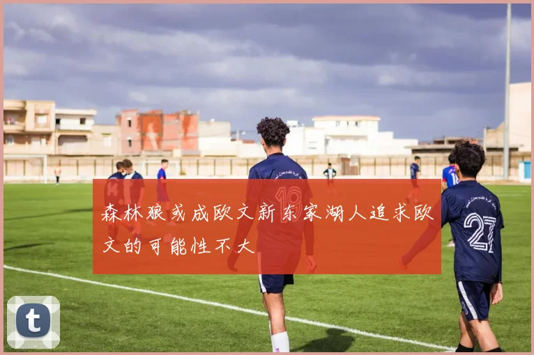 森林狼或成欧文新东家湖人追求欧文的可能性不大